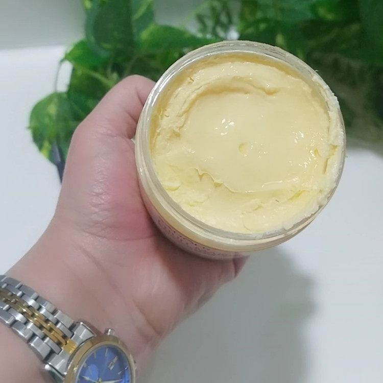 کره بدن گیاهی سادور