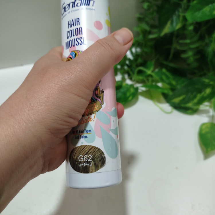 موس مو جنتالین رنگ زیتونی شماره G62